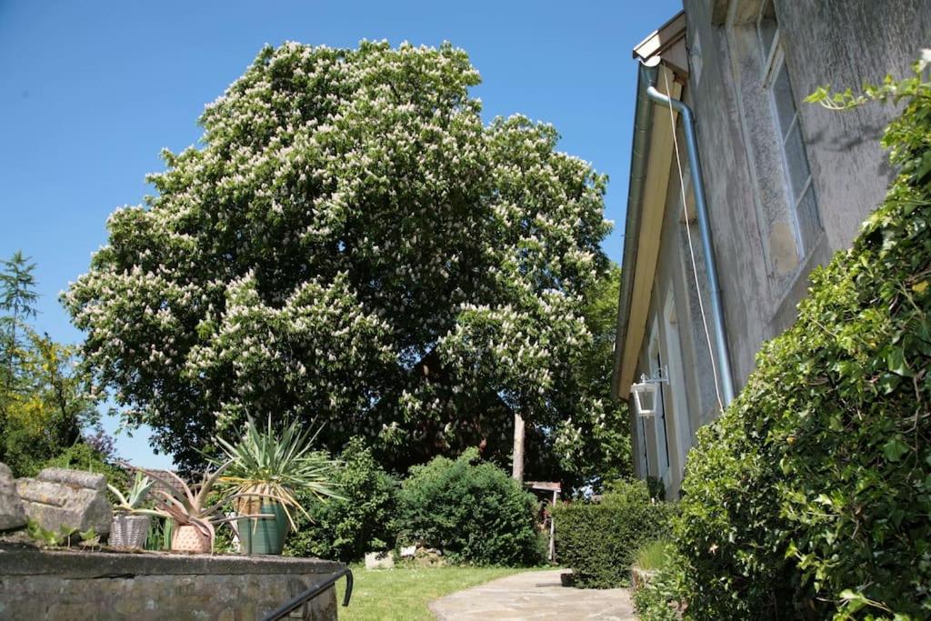 Ferienwohnung Haus Keppelborg: Zi Antonia Mit Kirchplatzblick Heek Exterior foto